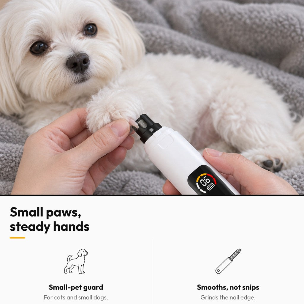 Neat Nails – Small paws, steady hands