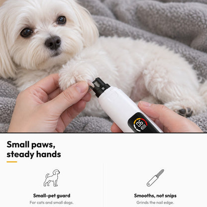 Neat Nails – Small paws, steady hands