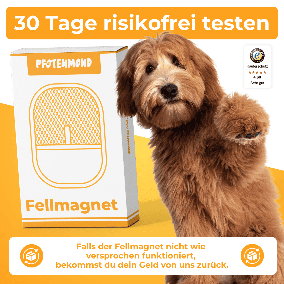 German promotional image of the mitt's box with a dog and a money-back guarantee