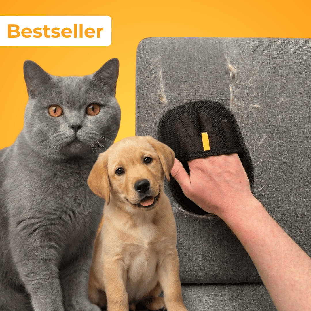 German promotional image with a grey cat and a labrador puppy beside the grooming mitt