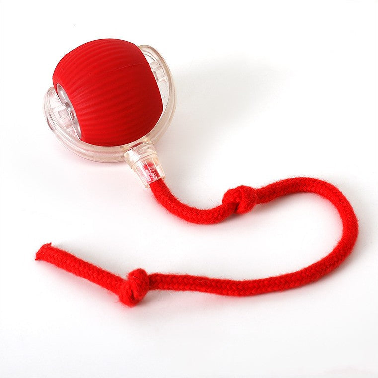 Red Chase Ball with a red rope tail