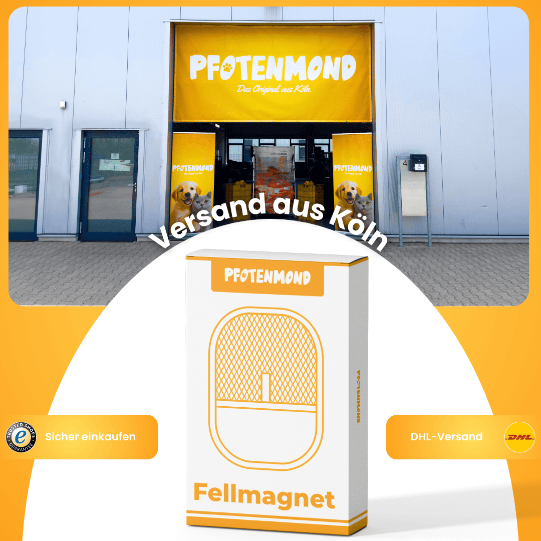 German promotional image of the mitt's box in front of a shopfront