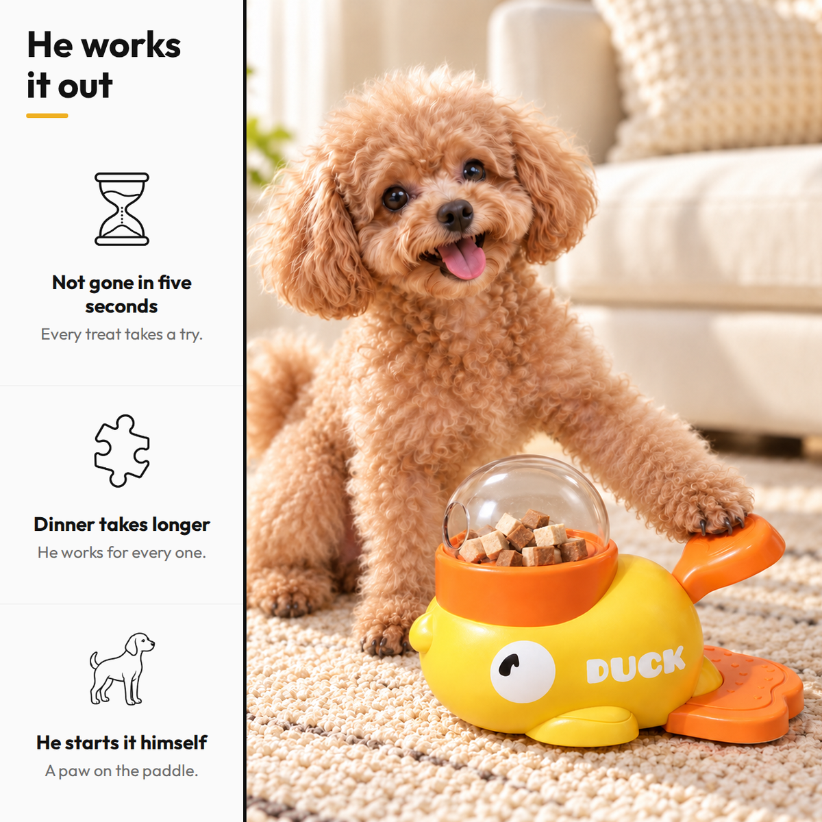 Little Duck Treat Spinner — He works it out: Not gone in five seconds; Dinner takes longer; He starts it himself