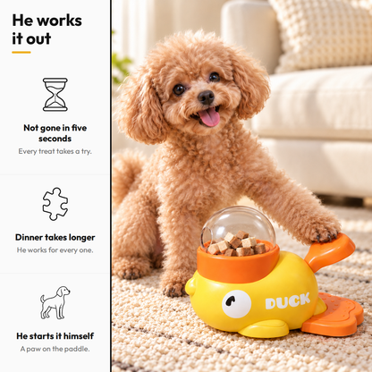 Little Duck Treat Spinner — He works it out: Not gone in five seconds; Dinner takes longer; He starts it himself