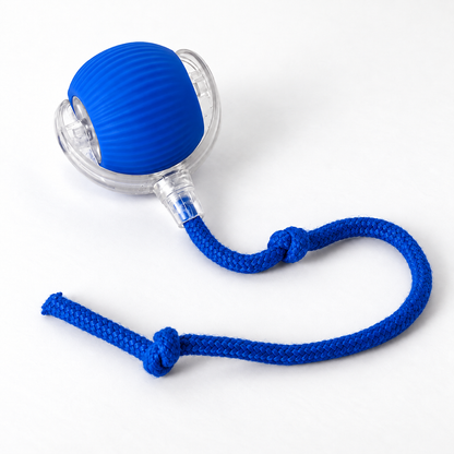 Chase Ball — Self-Rolling Ball Toy in Blue