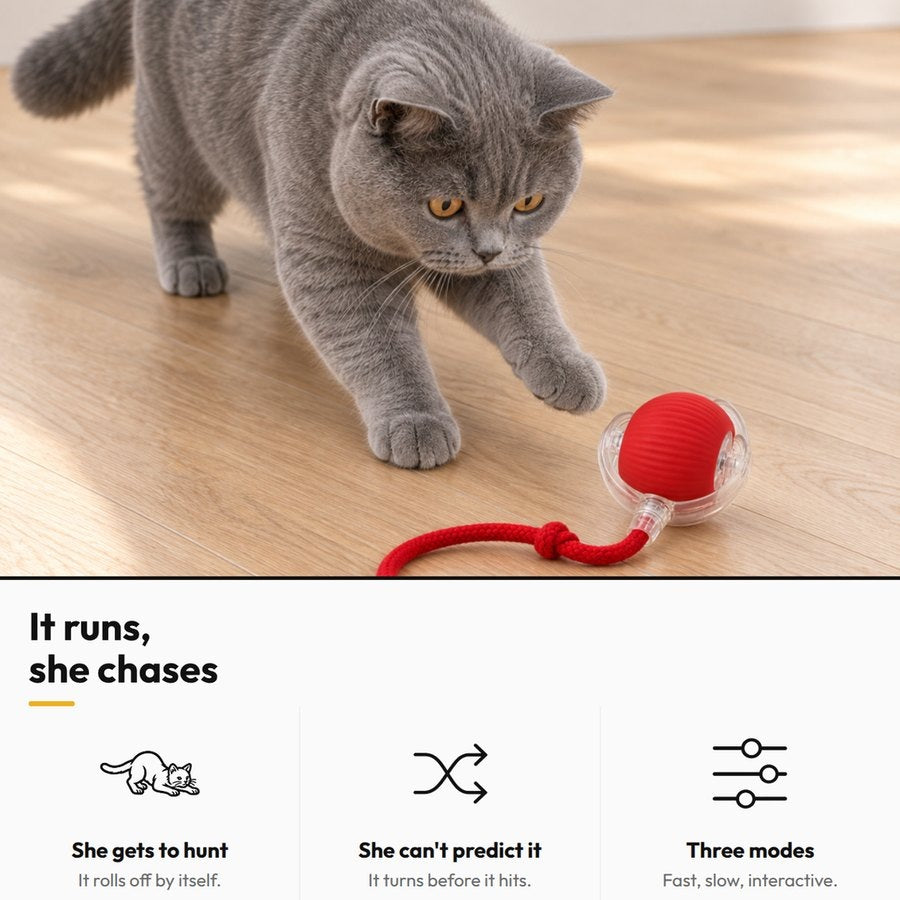 Chase Ball — Self-Rolling Ball Toy — It runs, she chases: She gets to hunt; She can't predict it; Three modes