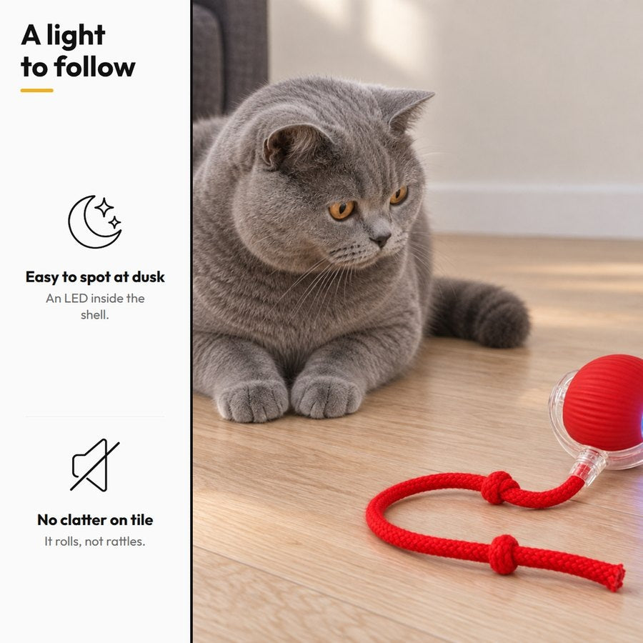 Chase Ball — Self-Rolling Ball Toy — A light to follow: Easy to spot at dusk; No clatter on tile