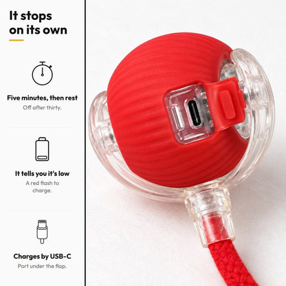 Chase Ball — Self-Rolling Ball Toy — It stops on its own: Five minutes, then rest; It tells you it's low; Charges by USB-C