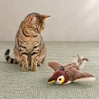 Cat with the Flutter Bird on a sage mat