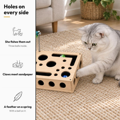 Wooden Maze Box with Claw-Filing Sheet — Holes on every side: She fishes them out; Claws meet sandpaper; A feather on a spring