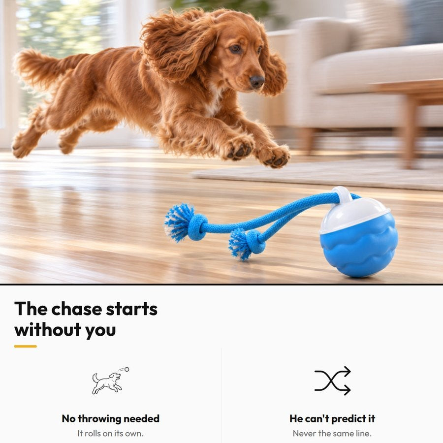 Smart Interactive Rolling Ball — The chase starts without you: No throwing needed; He can't predict it