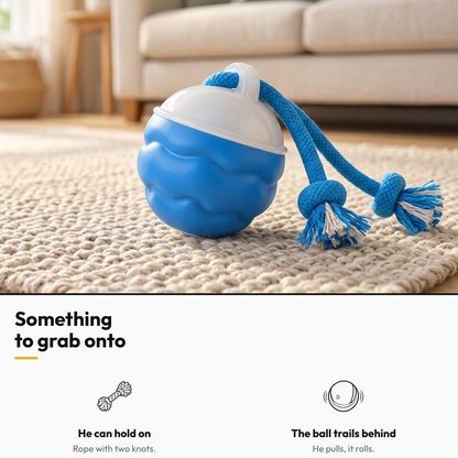 Smart Interactive Rolling Ball — Something to grab onto: He can hold on; The ball trails behind