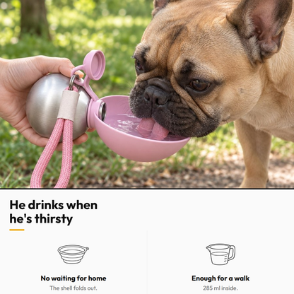 2-in-1 Travel Water Bottle for Dogs — He drinks when he's thirsty: No waiting for home; Enough for a walk