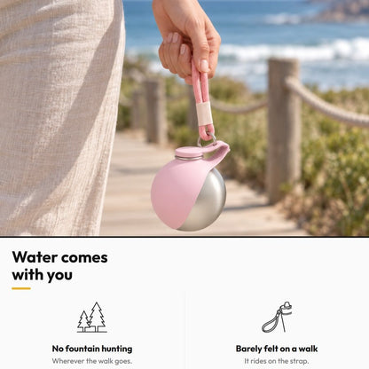 2-in-1 Travel Water Bottle for Dogs — Water comes with you: No fountain hunting; Barely felt on a walk
