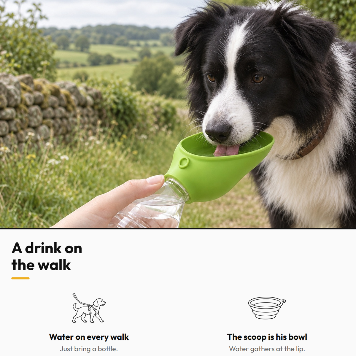 Silicone Drinking Cap — A drink on the walk: Water on every walk; The scoop is his bowl