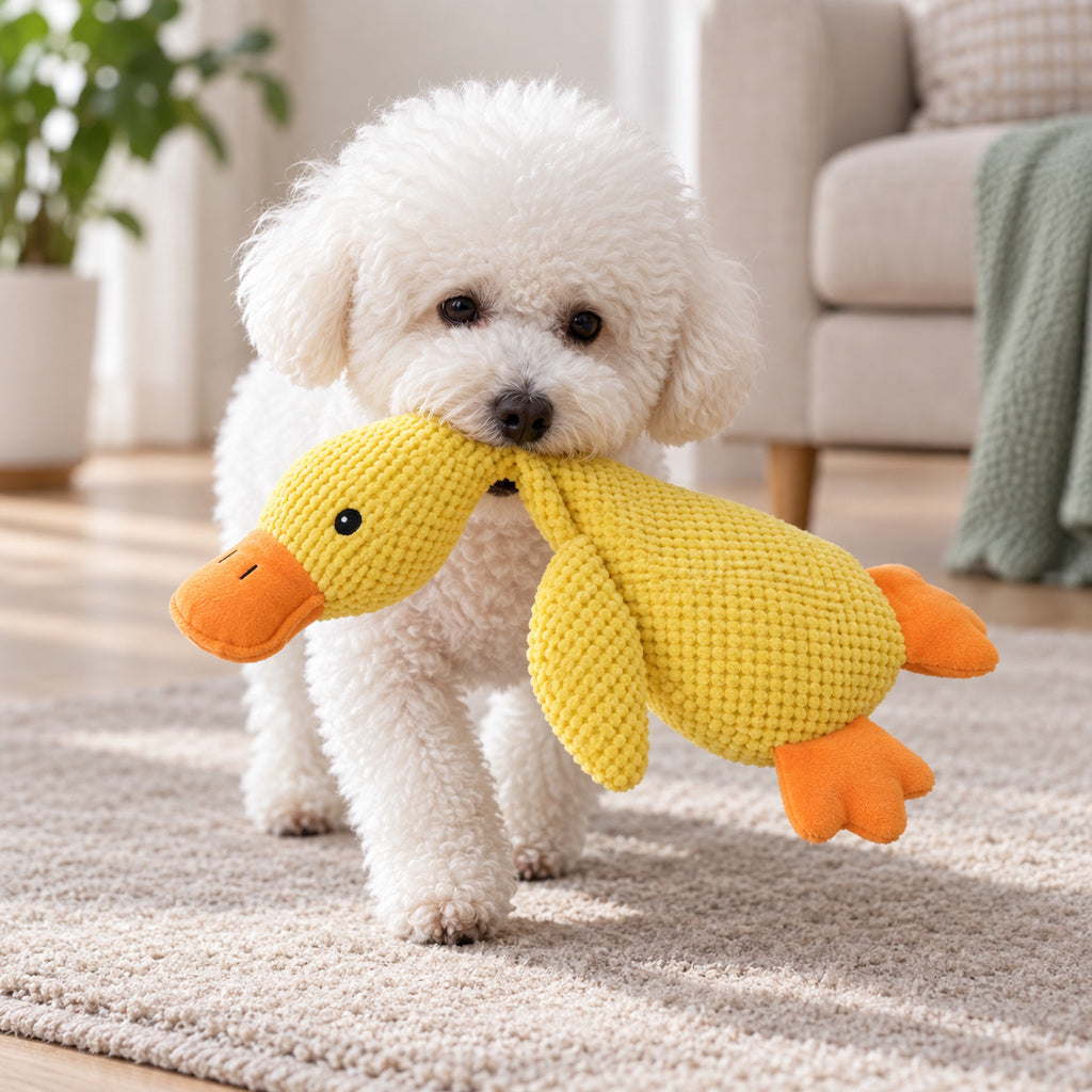 Calm Duck — white curly dog carrying the yellow plush duck