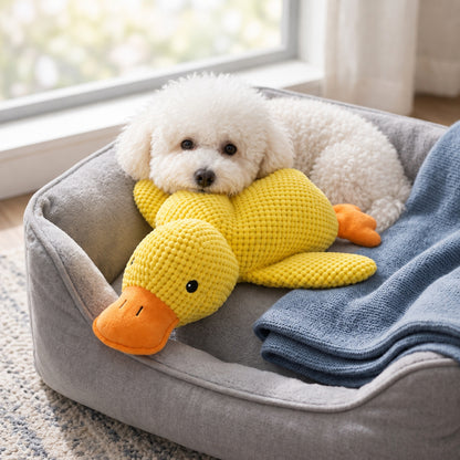 Calm Duck — white curly dog resting on the plush duck in a dog bed