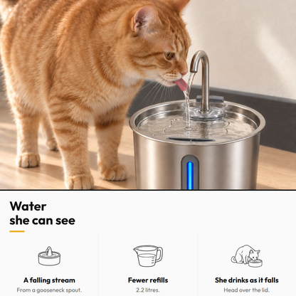 KittySip Cat Water Fountain — Water she can see: A falling stream; Fewer refills; She drinks as it falls