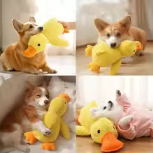 Four photos of the yellow duck plush toy with different dogs, including a pink version