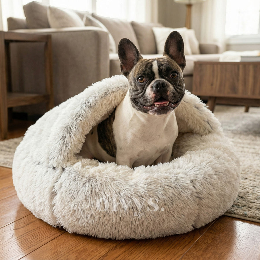 Cocoon Bed — Hooded and Warm