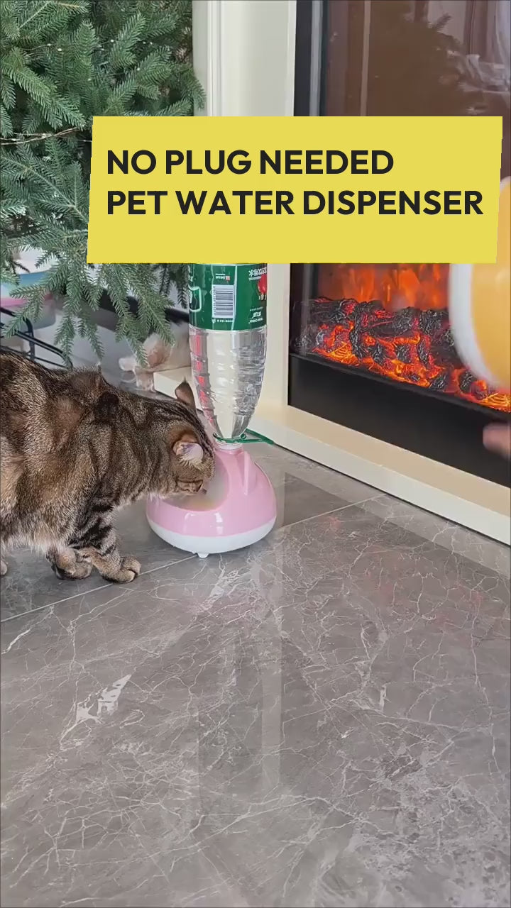 Cats drink from dispenser