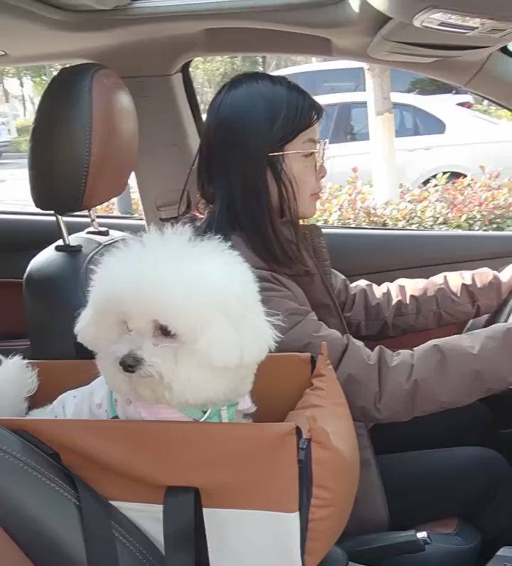 Dog in car seat bed