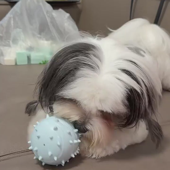 Dog chews treat ball