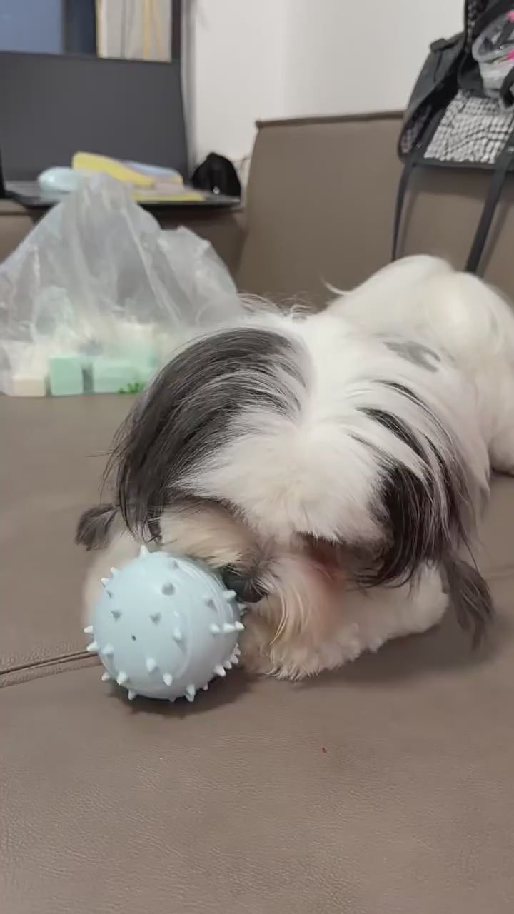 Dog chews treat ball