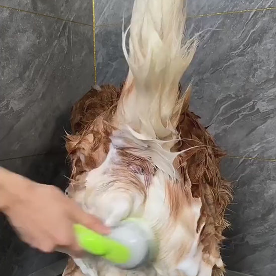 Bath brush on dog