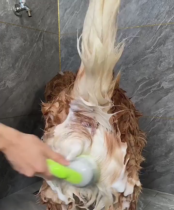 Bath brush on dog