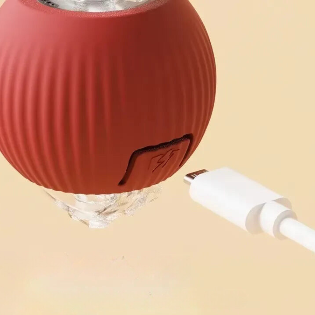 USB cable plugged into the charging port on the underside of the Chase Ball