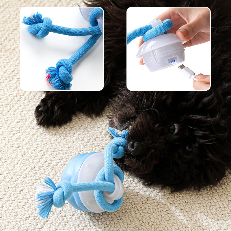 Black poodle nosing the blue ball, with insets showing the rope being attached