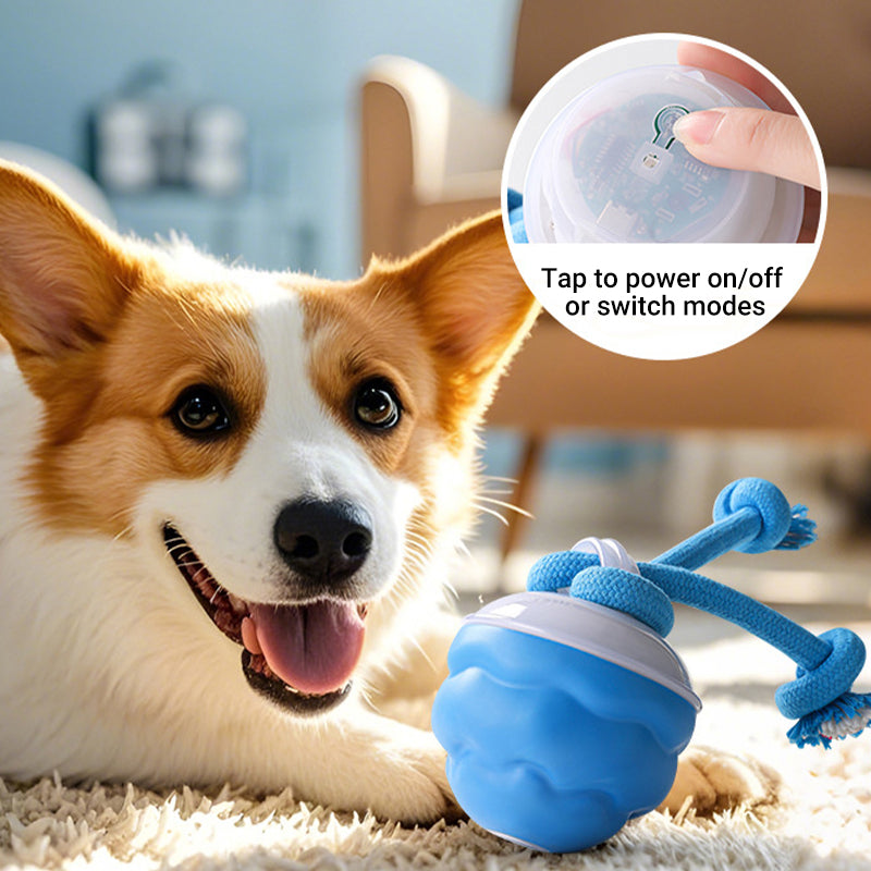Corgi beside the blue ball, with a callout for the tap-to-switch-modes button