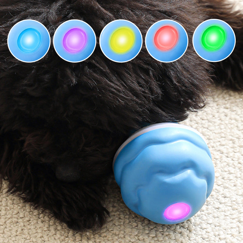 Row of five LED colours above the blue ball glowing pink beside a black dog